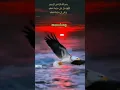 Lagu Bukan Zaman Yang Berubah,, Tapi Manusianya Yang Berubah #shortvideo #shorts #renungan #nasehatdiri