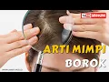 Download Lagu Arti Mimpi Borok - Borok atau Luka Dikepala Atau Borok Dibadan