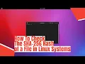 How To Check The SHA-256 Hash of a File in Linux Systems