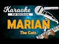 Download Lagu Karaoke MARIAN - The Cats // Music By Lanno Mbauth
