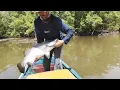 Download Lagu Lagi makan siang joran bambu terbang dibawa ikan