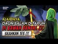 Download Lagu DAUNNYA NABI KHIDIR ❗ Taruh 3 Lembar Kalau Berani ! Khasiat Daun Salam Di Bawah Bantal