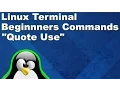 Linux Terminal for Beginners Commands 6 Using Quotes