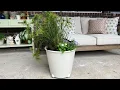 Planting up an IKEA self - watering container