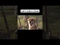 Download Lagu animal beat #cat #animals #dj #beatmaker #remix #dtm Download Lagu animal beat #cat #animals #dj #beatmaker #remix #dtm