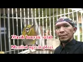 Download Lagu Mengenal tanda pleci ngecir