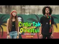 Lagu Cinta Tak Direstui Versi Reggae SKA Cover by Albumology Music | Kadal Band