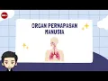 Download Lagu Organ Pernapasan Manusia - Materi IPAS Kelas 5 Kurikulum Merdeka
