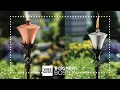 BJ s recalls tiki torches due to burn hazard