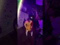Download Lagu Mama Le Vicharun Paay | Short Video | Homdev Remix | 2024 #gondimix #djremixgondisong #remix