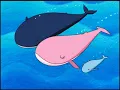 11 Whales sneezes