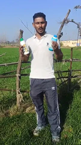 ऊना के किसान रवि कुमार ने आलू की फसल के लिए कौन सी खाद बताई उपयोगी | वनइंडिया हिंदी