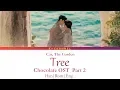 Tree 나무 - Car, The Garden 카더가든 | Chocolate 초콜릿 OST Part 2 | Lyrics 가사 | Han/Rom/Eng