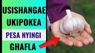 FANYA Hivi UPOKEE PESA NYINGI Kwa Kutumia KITUNGUU Swaumu 