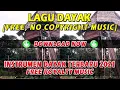 Download Lagu Instrumen Sape Dayak Terbaru 2021 | No Copyright (Free Royalty Musik)
