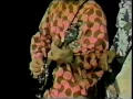 Archie Bell & The Drells - Tighten Up