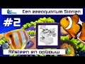Download Lagu Rifsteen kiezen en opbouw. Aflevering2 zeewateraquarium opstarten