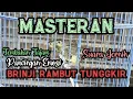 Lagu Masteran VIRAL!!!! Brinji Rambut Tunggkir ~ Suara Jernih, Tajam \u0026 Pancingan Emosi Untuk Burung Lain.