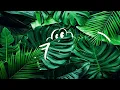 Callalily - Stars (Lyrics)