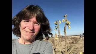 Boondocking at Chosa Campground near Whites City New Mexico RV Trip