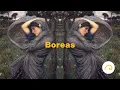 Boreas Animated