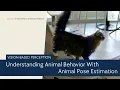 Understanding Animal Behavior Through Animal Pose Estimation