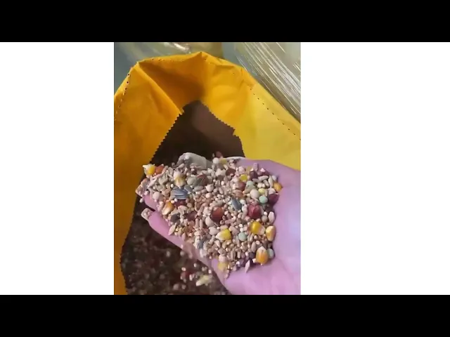 Video Transilvanica baza