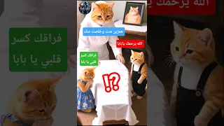 سالي تركت أولادها فستق وفستقة بعد موت زوجها والنهاية كانت مؤلمة جد ا 3D Viral Cat قطة Shorts 