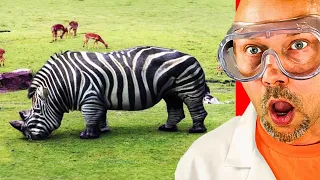 The Strangest Hybrids Animals Caught on Camera