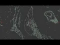 Marsh & Wassu - Forgiveness feat. Mariel Beausejour (Official Visualiser) [Anjunadeep]