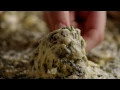 How to Make Artichoke and Spinach Dip Allrecipes com