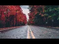 Stronger Back - Don Williams.