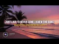 Madonna - La Isla Bonita | Lyrics Video | Indo Subtitle | Lirik Indonesia | Indo Translate