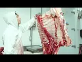D Arcy s Meats Breaking down a Beef Front Quarter