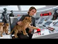 A Predator Cub Snuck Into the Control Room — She Let It Press the Button That Started Dawn {HFY}