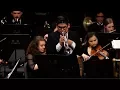 Download Lagu Piazzolla: Libertango (Elmer Churampi, Benjamin Zander, Boston Philharmonic Youth Orchestra)