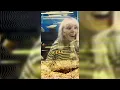 Being Dead - Aquarium [OFFICIAL MUSIC VIDEO]