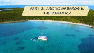 Part 2/2 Arctic Spearos in the Bahamas for the 1st time!
