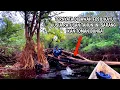 Download Lagu Petualangan berburu ikan,mancing dan angkat perangkap ikan di rawa tepian danau sekawi//Panen ikan