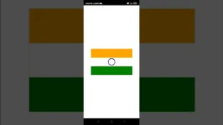 How to make an Indian Flag using Turtle - Python