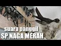 Download Lagu SP #SUARAPANGGIL // \