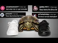 RACIST TURTLE - Chat Music