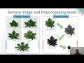 Papaya Fruit Type Classification using LBP Features Extraction and Naive Bayes Classifier