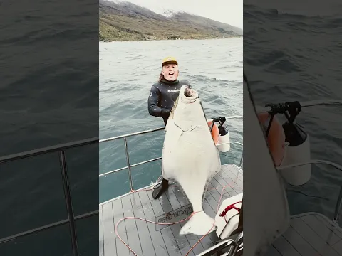 Bigwaterguy with a beautiful halibut!