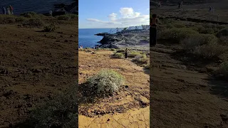 On adoooore les CACTUS des îles Canaries 🤩🌵