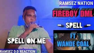 fireboy dml spell ft wande coal reaction 