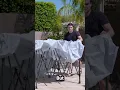 My Canopy Recommendation For 2024