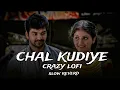 Chal Kudiye [Slow Reverd ] Jigra | Diljit Dosanjh| Alia Bhatt | Manpreet Singh crezy lofi music