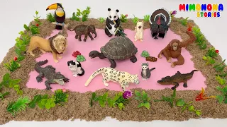 APRENDE el Mundo ANIMAL 🌾 Colección de animales, ADIVINANZAS y Animales Acuáticos| Mimonona Stories