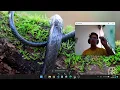 Hand gesture recognition using OpenCV and Mediapipe